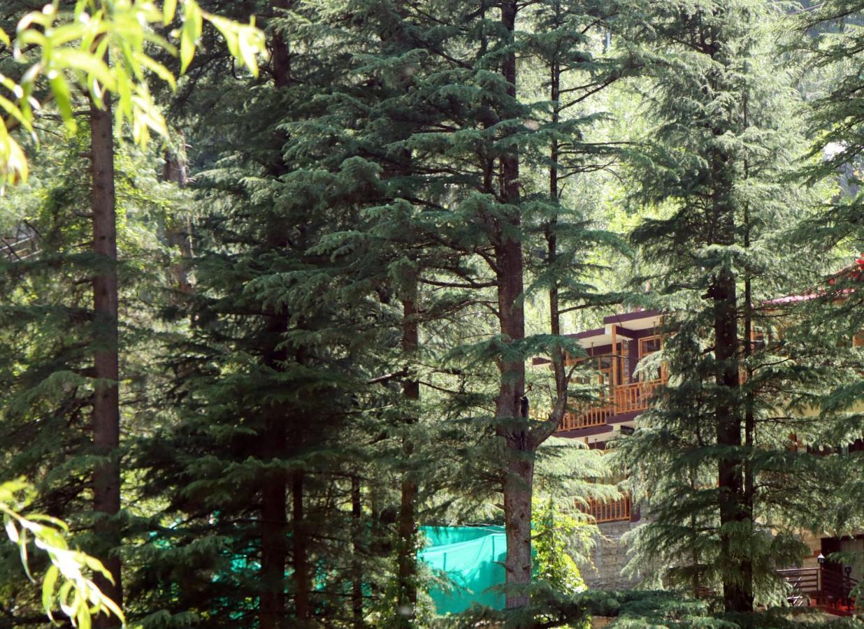 Appartamento The Himalayan Heaven Jibhi Esterno foto